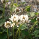 가암경로당 이미지