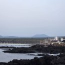 금능반지하 | 제주 한림 술집｜금능반지하 후기