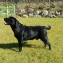 두아름농장 이미지