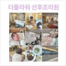 플라워콜 | 일산 더플라워 산후조리원 후기 / 고양시 산후조리원 추천/ 더플라워산후조리원 퇴소선물