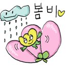 양정명동찌개마을 - 부산진구 냉정로 237 | 양정명동찌개마을