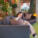 감천 소리 이미지