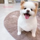 네일마루비