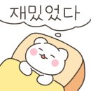 강릉여행굿캠핑 이미지