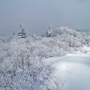 12/29(일)100대명산 계방산 눈꽃 설경산행(씨익지기) 이미지