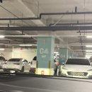 위드트레일러 | 롯데백화점 동탄 찐맛집 8시간 돌아다니며 멋어본디저트 추천 후기