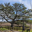 수산리-4 이미지