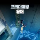 바루나프리다이빙 이미지