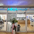 4662 | 대구 아쿠아밸리 블루 라운지 동성로점 가격, 주차 등 정보 및 엄마 기준 방문 후기