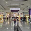 판을 바꾸는 디자인 코엑스전시회 2024 서울디자인페스티벌 후기