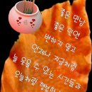 보문사 - 경산시 | 보문사