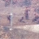 합참 "북한군 DMZ 작업 중 지뢰 폭발로 사상자 발생" 이미지