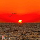 대정읍 하모리 935-13 | 제주도 일몰명소 서쪽 모슬포 대정읍 노을 카페