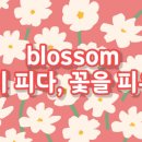 어여쁜 : COMELY 이미지