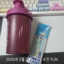 먹을래 싸갈래 | [내돈내산] 마운자로 후기 12일차