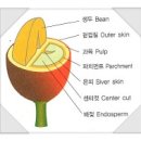 커피바리스타(2급)Ⅰ 이미지