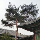 화개초교 이미지