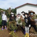 송죽초등학교 이미지