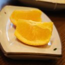 대판수사 이미지