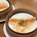 [맛집] 홍대 중식 맛집 티엔미미 평일 디너 예약 및 딤섬코스 후기 (별도주문 포장 불가)