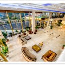 호텔펄리플러스 이미지