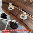 우드스트링악기사