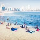 플렉스 짐 이미지