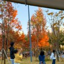 광교호수공원 가족캠핑장 이미지