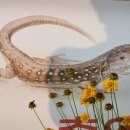 구미강정 이미지