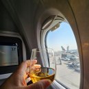 두바이~자그레브~두바이 플라이두바이(flydubai) 비즈니스석 이용 후기