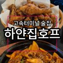고속터미널술집 잠원동 동네아지트 하얀집호프