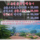 맛나추어탕