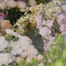 에핀 플라워 해운대꽃집