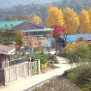 팔렬중학교 이미지