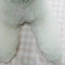 이쁘게 잘라줄개 이미지