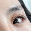 성동 | [대구] 신월성동 속눈썹연장 후기, 짧은 속눈썹도 또렷한 눈매 만들어준《 플로우스킨 》
