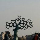 썬비치게스트하우스 이미지