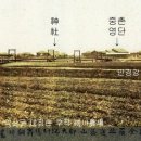 세운떡집 이미지