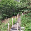 사랑나무민박 이미지