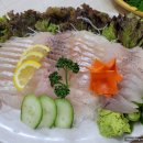 성남 분당 싱싱회센타 후기 : )