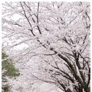 뉴동방관광 이미지