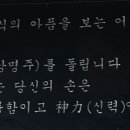 영천사 - 1335 | 영천사