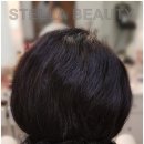 스텔라뷰티 이미지