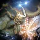 물내음 팬션 이미지