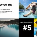 라바호텔 이미지
