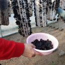 호영농장 이미지