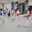 준 태권도장 이미지