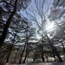 구례 멍 뷰 하우스 | 전남 구례 섬지캠핑장 :: 산수유동 3번 처음 이용 후기