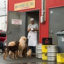 A dog's (어독스) 이미지