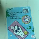 협동조합민트고래 | 뽀송하고 산뜻한 여름 필수템🌿 춤추는고래 생리대 3종 체험기 (중형/팬티라이너/입는오버나이트)